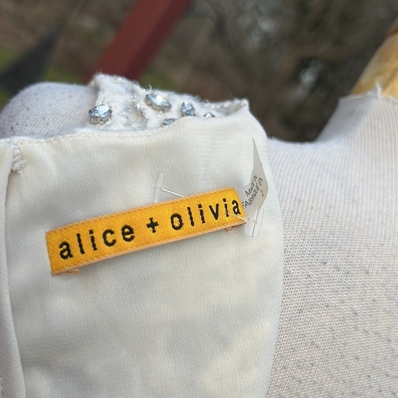 New! Alice and Olivia SZ 2, crystal jacquard lace shift dress. - Picture 8 of 13